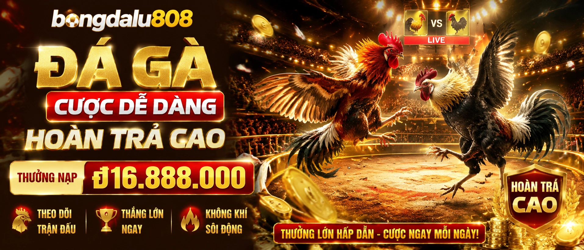 Đá Gà cựa sắt trên bongdalu808